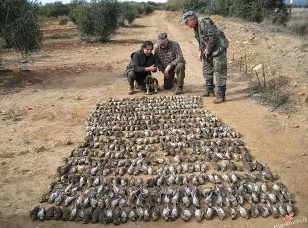 Στο έλεος των Ιταλών κυνηγών η Ήπειρος – Ανατριχιαστική φωτογραφία